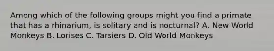 Among which of the following groups might you find a primate that has a rhinarium, is solitary and is nocturnal? A. New World Monkeys B. Lorises C. Tarsiers D. Old World Monkeys
