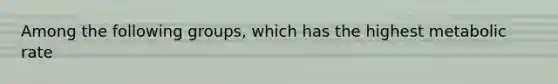 Among the following groups, which has the highest metabolic rate