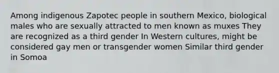 Among indigenous Zapotec people in southern Mexico, biological males who are sexually attracted to men known as muxes They are recognized as a third gender In Western cultures, might be considered gay men or transgender women Similar third gender in Somoa