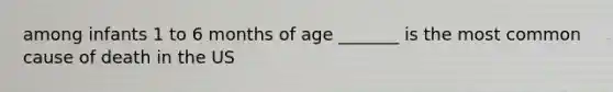 among infants 1 to 6 months of age _______ is the most common cause of death in the US