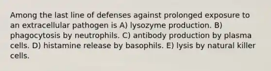 Among the last line of defenses against prolonged exposure to an extracellular pathogen is A) lysozyme production. B) phagocytosis by neutrophils. C) antibody production by plasma cells. D) histamine release by basophils. E) lysis by natural killer cells.