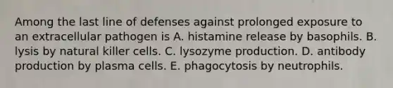 Among the last line of defenses against prolonged exposure to an extracellular pathogen is A. histamine release by basophils. B. lysis by natural killer cells. C. lysozyme production. D. antibody production by plasma cells. E. phagocytosis by neutrophils.