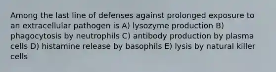 Among the last line of defenses against prolonged exposure to an extracellular pathogen is A) lysozyme production B) phagocytosis by neutrophils C) antibody production by plasma cells D) histamine release by basophils E) lysis by natural killer cells