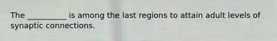 The __________ is among the last regions to attain adult levels of synaptic connections.