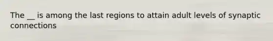 The __ is among the last regions to attain adult levels of synaptic connections