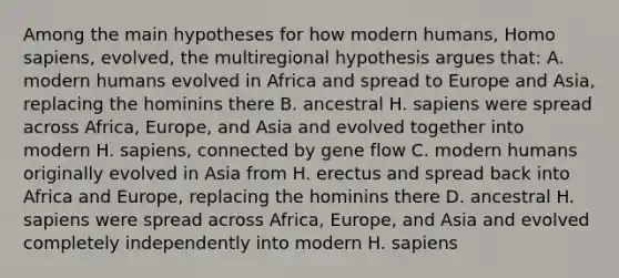 Among the main hypotheses for how modern humans, Homo sapiens, evolved, the multiregional hypothesis argues that: A. modern humans evolved in Africa and spread to Europe and Asia, replacing the hominins there B. ancestral H. sapiens were spread across Africa, Europe, and Asia and evolved together into modern H. sapiens, connected by gene flow C. modern humans originally evolved in Asia from H. erectus and spread back into Africa and Europe, replacing the hominins there D. ancestral H. sapiens were spread across Africa, Europe, and Asia and evolved completely independently into modern H. sapiens