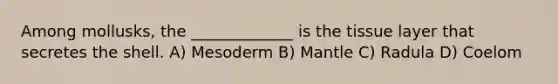 Among mollusks, the _____________ is the tissue layer that secretes the shell. A) Mesoderm B) Mantle C) Radula D) Coelom