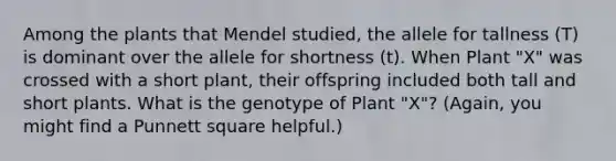 Among the plants that Mendel studied, the allele for tallness (T) is dominant over the allele for shortness (t). When Plant "X" was crossed with a short plant, their offspring included both tall and short plants. What is the genotype of Plant "X"? (Again, you might find a Punnett square helpful.)