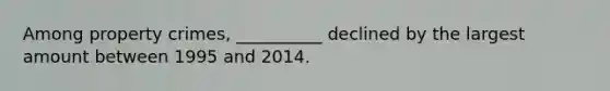 Among property crimes, __________ declined by the largest amount between 1995 and 2014.