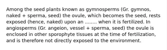 Among the seed plants known as gymnosperms (Gr. gymnos, naked + sperma, seed) the ovule, which becomes the seed, rests exposed (hence, naked) upon an ........ when it is fertilized. In angiosperms (Gr. angeion, vessel + sperma, seed) the ovule is enclosed in other sporophyte tissues at the time of fertilization, and is therefore not directly exposed to the environment.