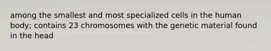 among the smallest and most specialized cells in the human body; contains 23 chromosomes with the genetic material found in the head