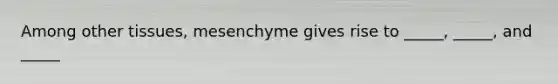 Among other tissues, mesenchyme gives rise to _____, _____, and _____