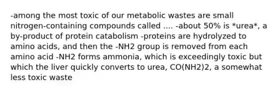 -among the most toxic of our metabolic wastes are small nitrogen-containing compounds called .... -about 50% is *urea*, a by-product of protein catabolism -proteins are hydrolyzed to amino acids, and then the -NH2 group is removed from each amino acid -NH2 forms ammonia, which is exceedingly toxic but which the liver quickly converts to urea, CO(NH2)2, a somewhat less toxic waste