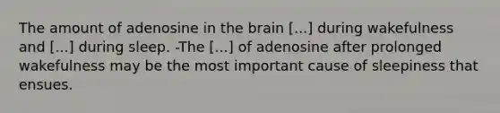 The amount of adenosine in the brain [...] during wakefulness and [...] during sleep. -The [...] of adenosine after prolonged wakefulness may be the most important cause of sleepiness that ensues.