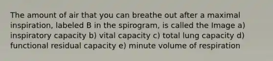 The amount of air that you can breathe out after a maximal inspiration, labeled B in the spirogram, is called the Image a) inspiratory capacity b) vital capacity c) total lung capacity d) functional residual capacity e) minute volume of respiration