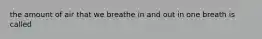 the amount of air that we breathe in and out in one breath is called