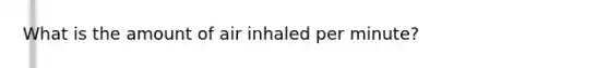 What is the amount of air inhaled per minute?