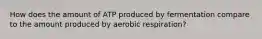 How does the amount of ATP produced by fermentation compare to the amount produced by aerobic respiration?