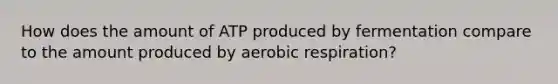 How does the amount of ATP produced by fermentation compare to the amount produced by aerobic respiration?