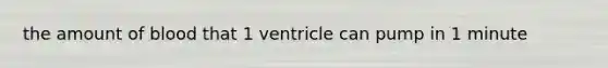 the amount of blood that 1 ventricle can pump in 1 minute