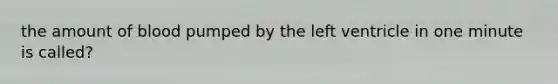 the amount of blood pumped by the left ventricle in one minute is called?