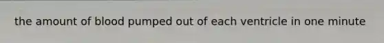 the amount of blood pumped out of each ventricle in one minute