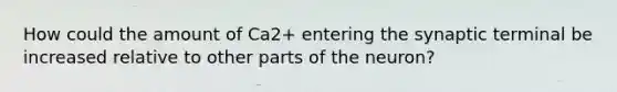 How could the amount of Ca2+ entering the synaptic terminal be increased relative to other parts of the neuron?