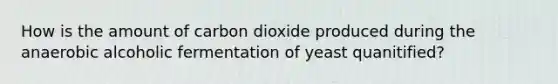 How is the amount of carbon dioxide produced during the anaerobic alcoholic fermentation of yeast quanitified?