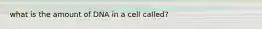 what is the amount of DNA in a cell called?