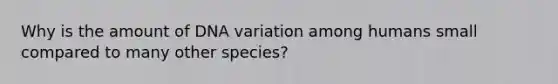 Why is the amount of DNA variation among humans small compared to many other species?