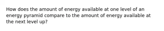 How does the amount of energy available at one level of an energy pyramid compare to the amount of energy available at the next level up?