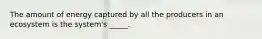 The amount of energy captured by all the producers in an ecosystem is the system's _____.