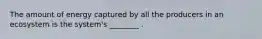 The amount of energy captured by all the producers in an ecosystem is the system's ________ .