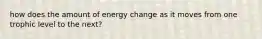 how does the amount of energy change as it moves from one trophic level to the next?