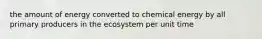 the amount of energy converted to chemical energy by all primary producers in the ecosystem per unit time