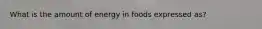 What is the amount of energy in foods expressed as?