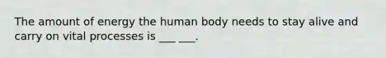 The amount of energy the human body needs to stay alive and carry on vital processes is ___ ___.