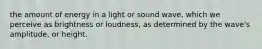 the amount of energy in a light or sound wave, which we perceive as brightness or loudness, as determined by the wave's amplitude, or height.