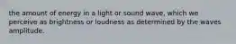 the amount of energy in a light or sound wave, which we perceive as brightness or loudness as determined by the waves amplitude.