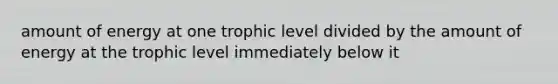 amount of energy at one trophic level divided by the amount of energy at the trophic level immediately below it