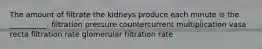 The amount of filtrate the kidneys produce each minute is the __________. filtration pressure countercurrent multiplication vasa recta filtration rate glomerular filtration rate