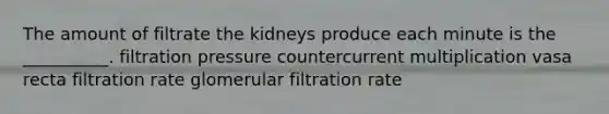 The amount of filtrate the kidneys produce each minute is the __________. filtration pressure countercurrent multiplication vasa recta filtration rate glomerular filtration rate