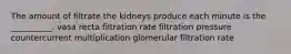 The amount of filtrate the kidneys produce each minute is the __________. vasa recta filtration rate filtration pressure countercurrent multiplication glomerular filtration rate