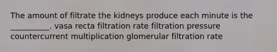 The amount of filtrate the kidneys produce each minute is the __________. vasa recta filtration rate filtration pressure countercurrent multiplication glomerular filtration rate