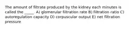 The amount of filtrate produced by the kidney each minutes is called the _____. A) glomerular filtration rate B) filtration ratio C) autoregulation capacity D) corpuscular output E) net filtration pressure