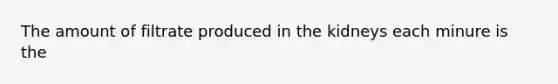 The amount of filtrate produced in the kidneys each minure is the