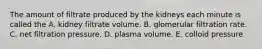 The amount of filtrate produced by the kidneys each minute is called the A. kidney filtrate volume. B. glomerular filtration rate. C. net filtration pressure. D. plasma volume. E. colloid pressure