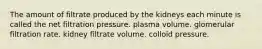 The amount of filtrate produced by the kidneys each minute is called the net filtration pressure. plasma volume. glomerular filtration rate. kidney filtrate volume. colloid pressure.