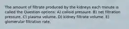 The amount of filtrate produced by the kidneys each minute is called the Question options: A) colloid pressure. B) net filtration pressure. C) plasma volume. D) kidney filtrate volume. E) glomerular filtration rate.