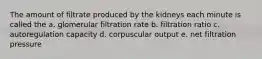 The amount of filtrate produced by the kidneys each minute is called the a. glomerular filtration rate b. filtration ratio c. autoregulation capacity d. corpuscular output e. net filtration pressure